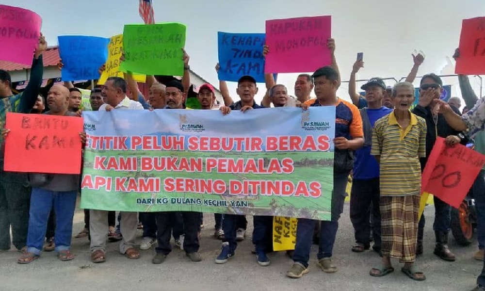 Farmers protest paddy price drop, question cartel involvement