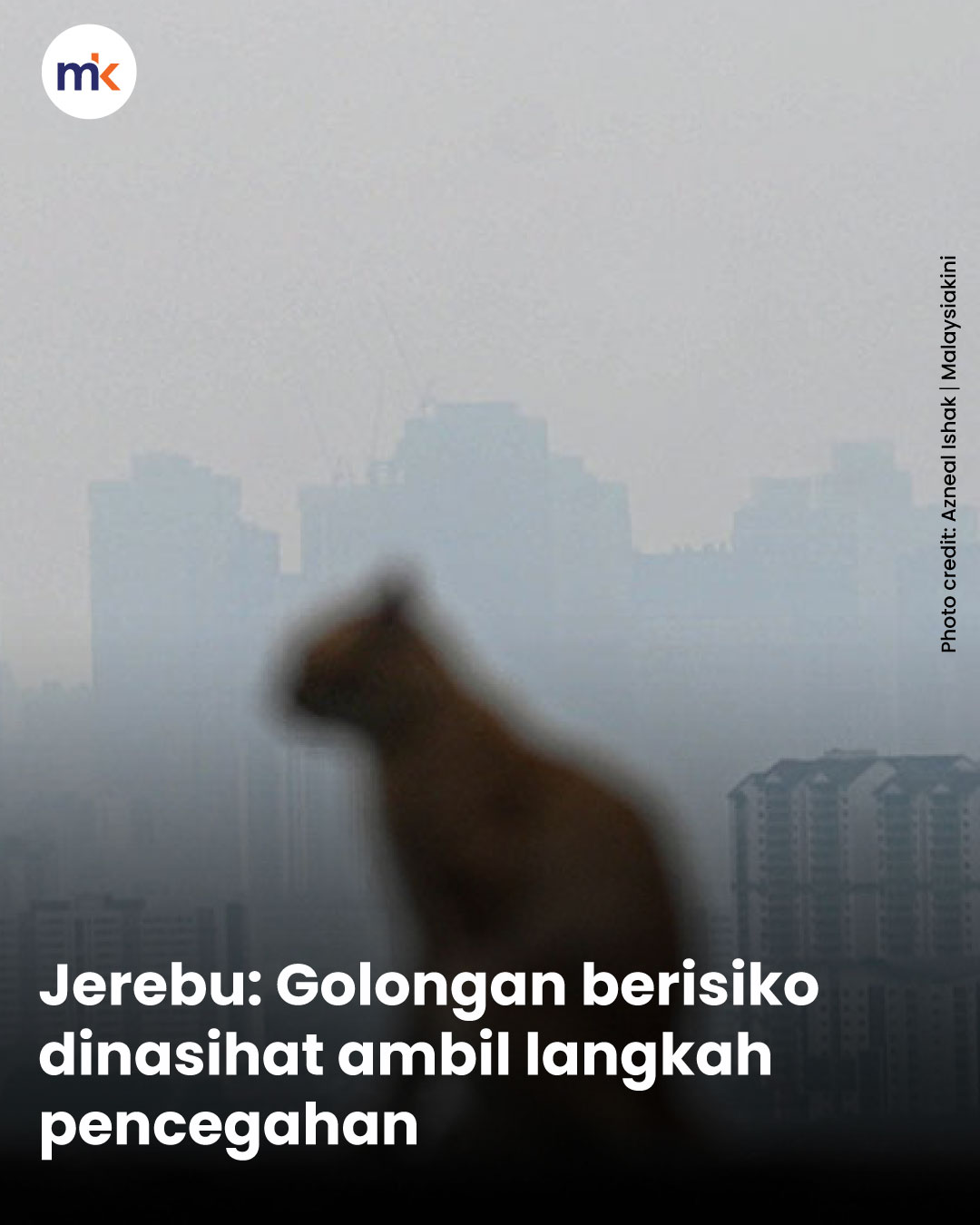 Jerebu: Golongan berisiko dinasihat ambil langkah pencegahan