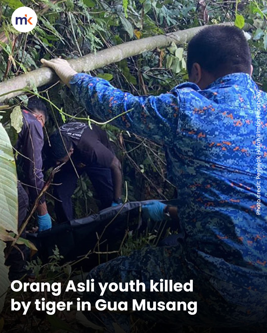 Orang Asli youth killed by tiger in Gua Musang