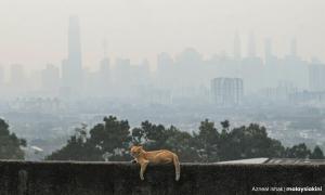 Transboundary haze: Group pushes for corporate liability across borders