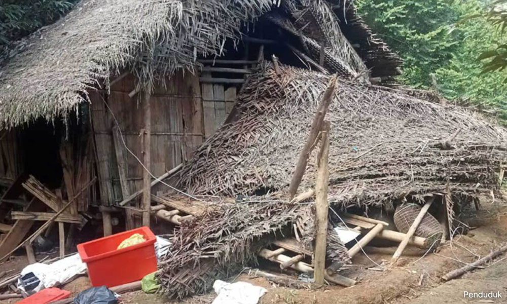 Elephant attack forces Orang Asli families to leave homes