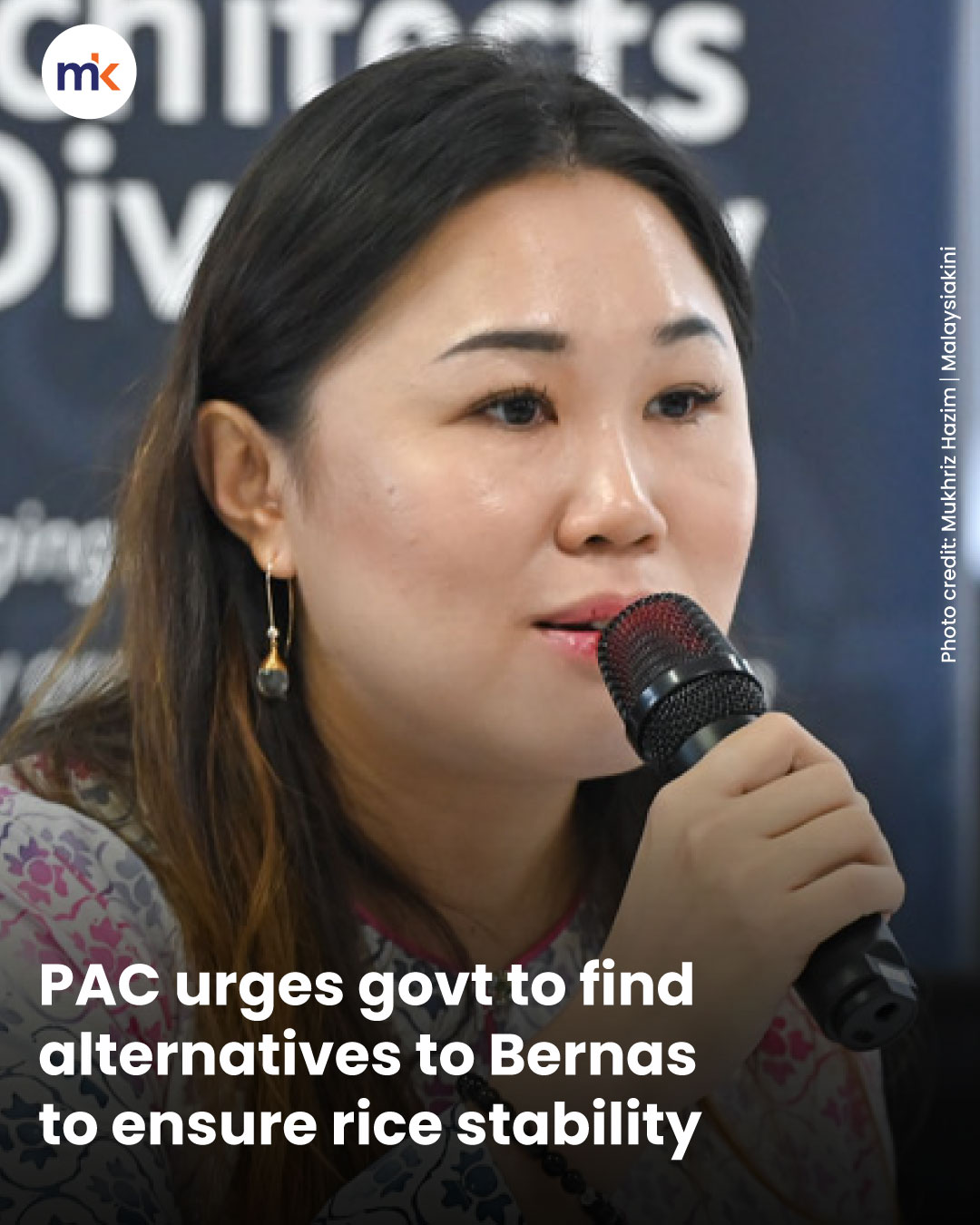 PAC urges govt to find alternatives to Bernas to ensure rice stability