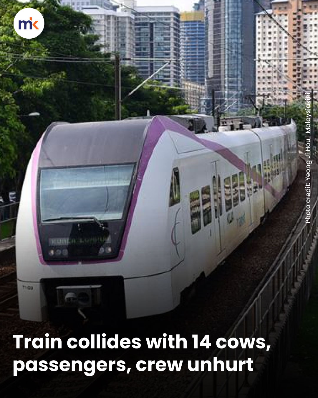 Train collides with 14 cows, passengers, crew unhurt