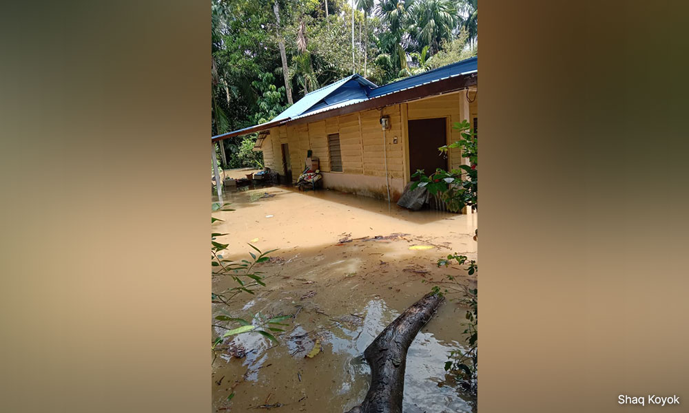 Orang Asli villagers struggle through S’gor flood with little help