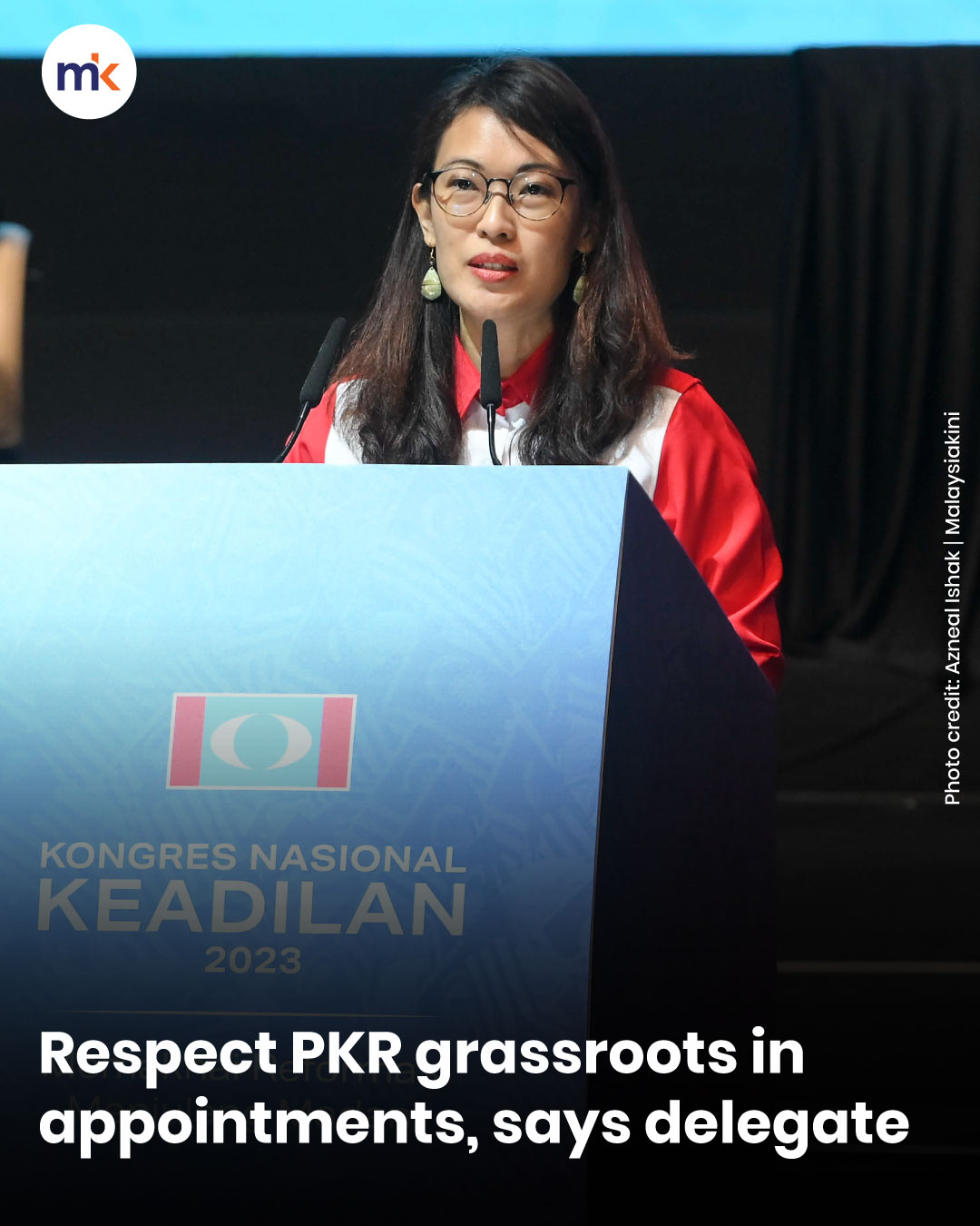 Respect PKR grassroots in appointments, says delegate