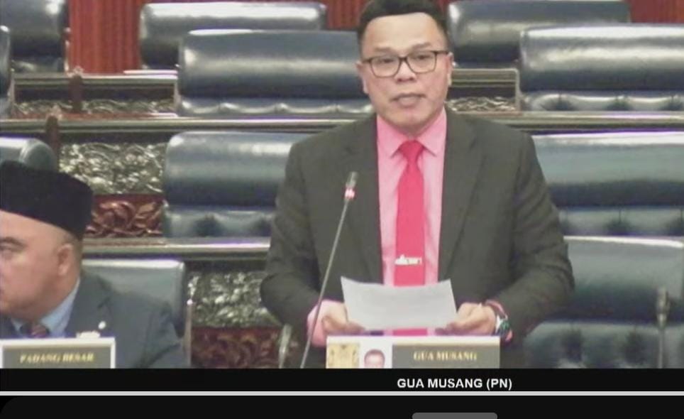 Gua Musang MP latest Bersatu lawmaker to back Anwar