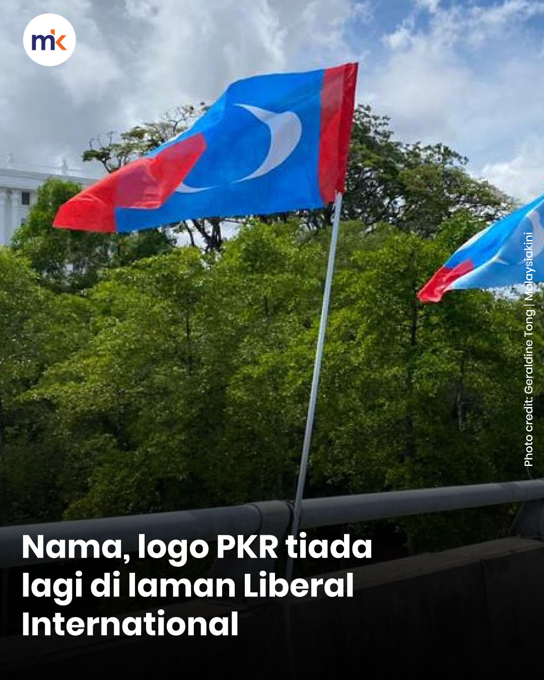 Nama, logo PKR tiada lagi di laman Liberal International