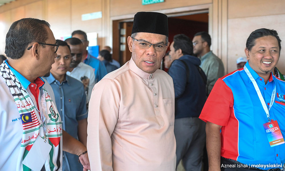 Saifuddin mocks PAS' outcry over Hadi 'skinny dipping' claim