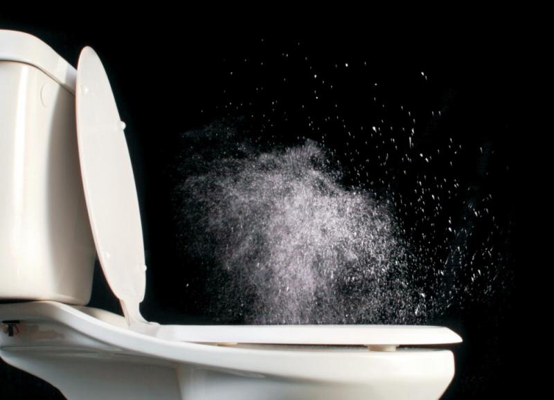 Do you think it is important to close the toilet lid before flushing?