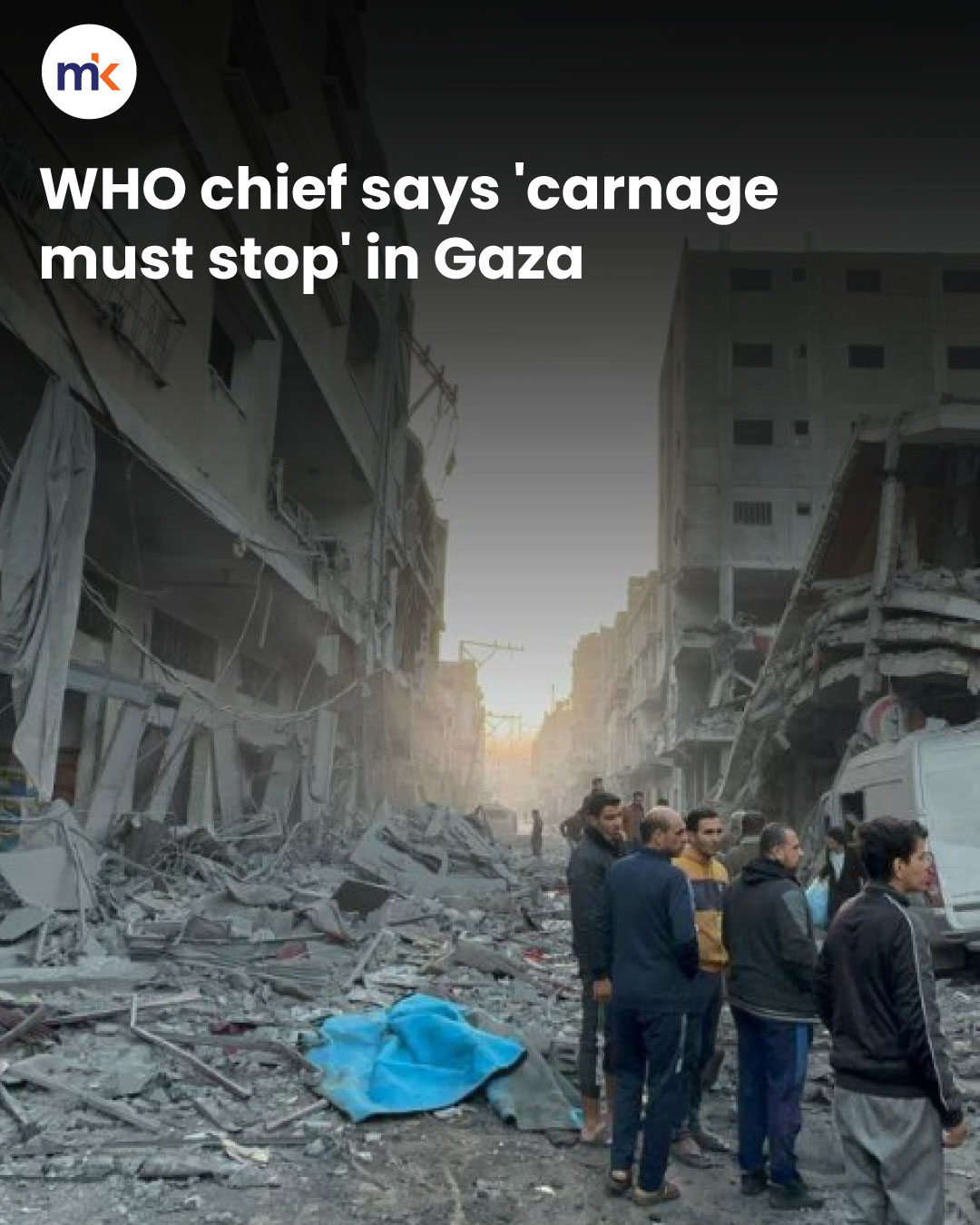 WHO chief says 'carnage must stop' in Gaza