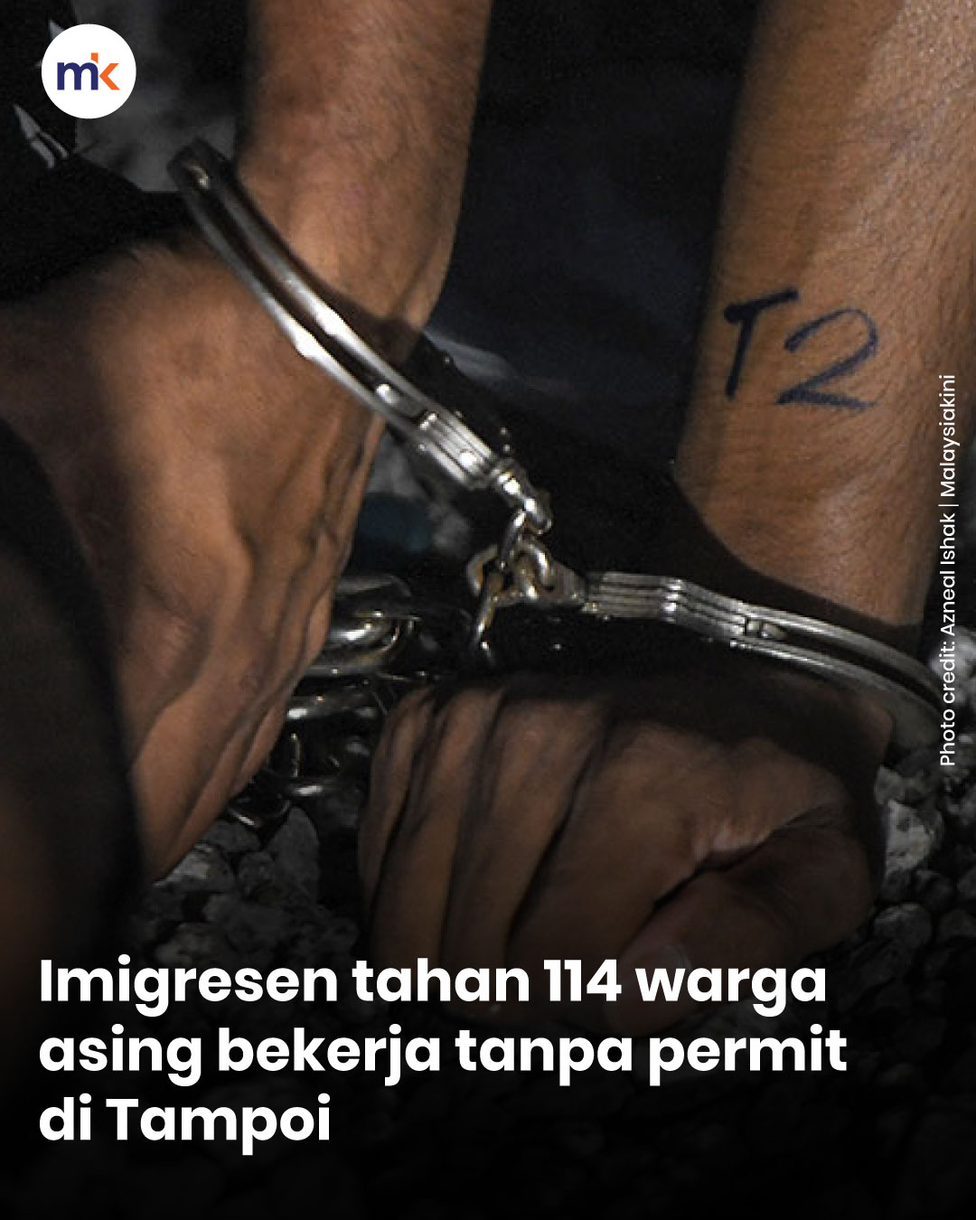 Imigresen tahan 114 warga asing bekerja tanpa permit di Tampoi