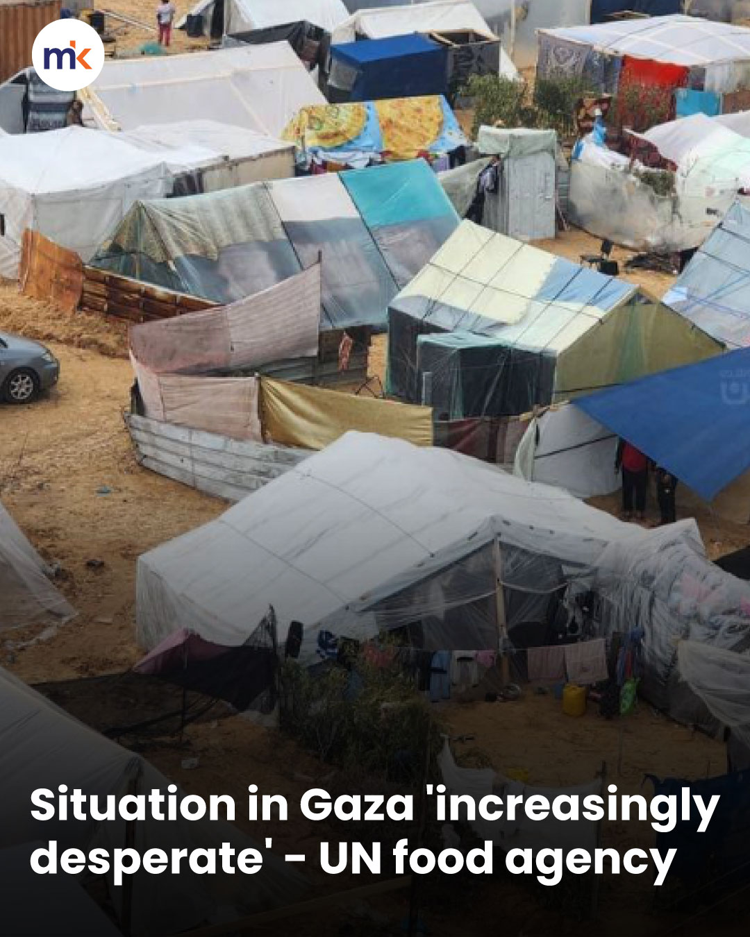 Situation in Gaza 'increasingly desperate' - UN food agency