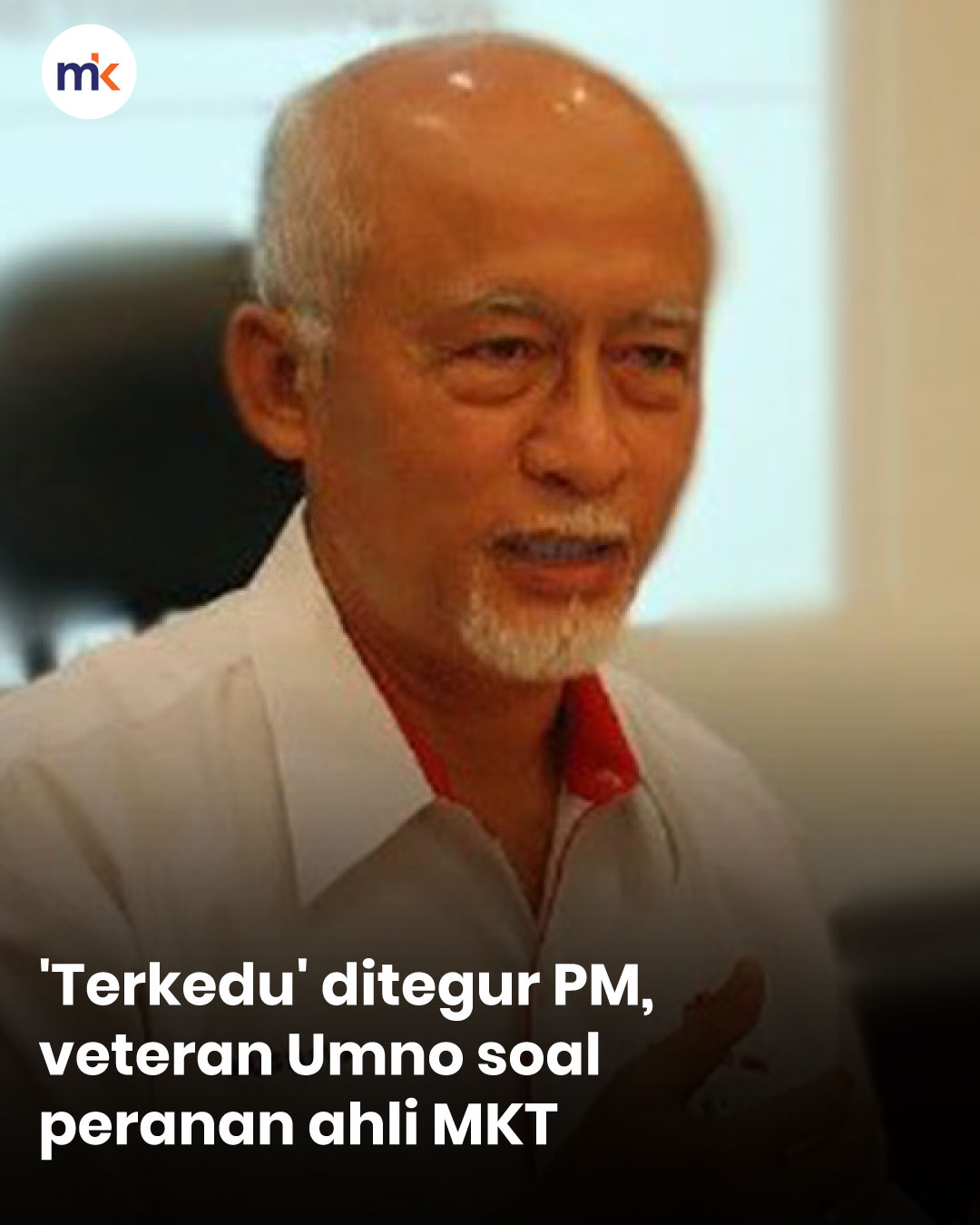 'Terkedu' ditegur PM, veteran Umno soal peranan ahli MKT