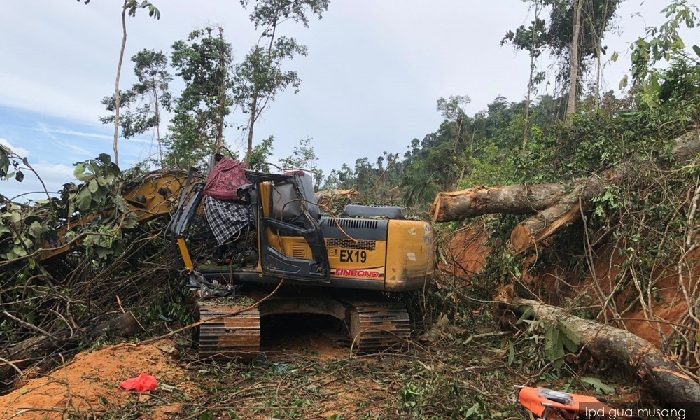 Pemandu jengkaut maut ditimpa kayu balak