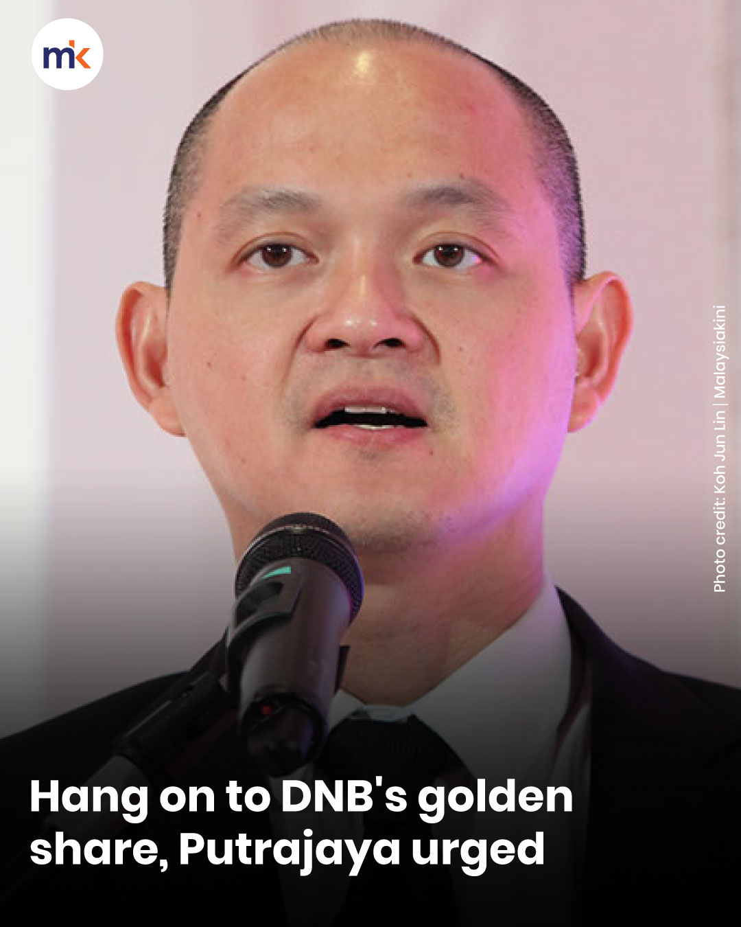 Hang on to DNB's golden share, Putrajaya urged