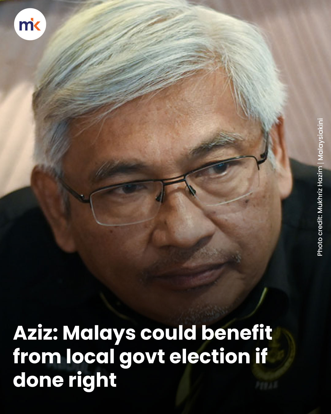 Aziz: Malays could benefit from local govt election if done right