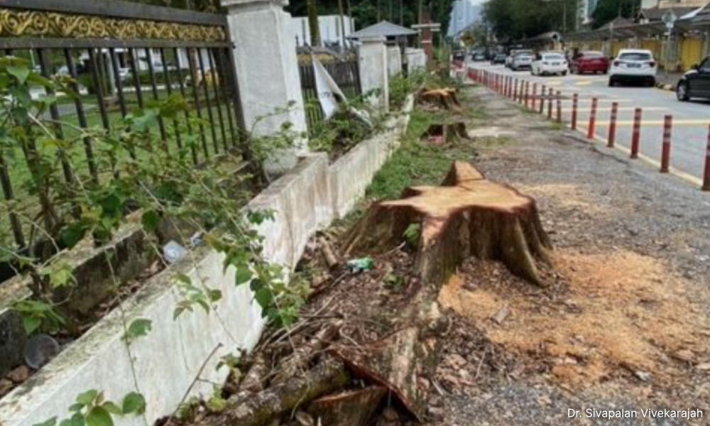LETTER | Environmental destruction in TTDI portends greater danger