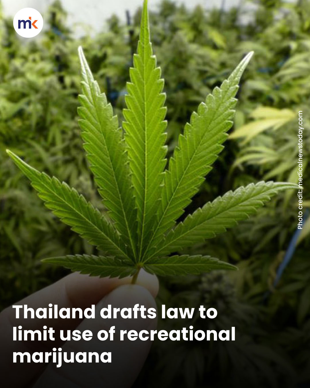 Thailand drafts law to limit use of recreational marijuana
