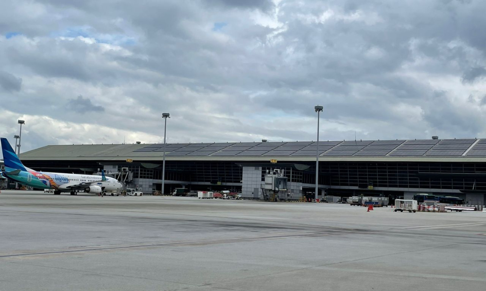 Navigating the Skies of Sustainability