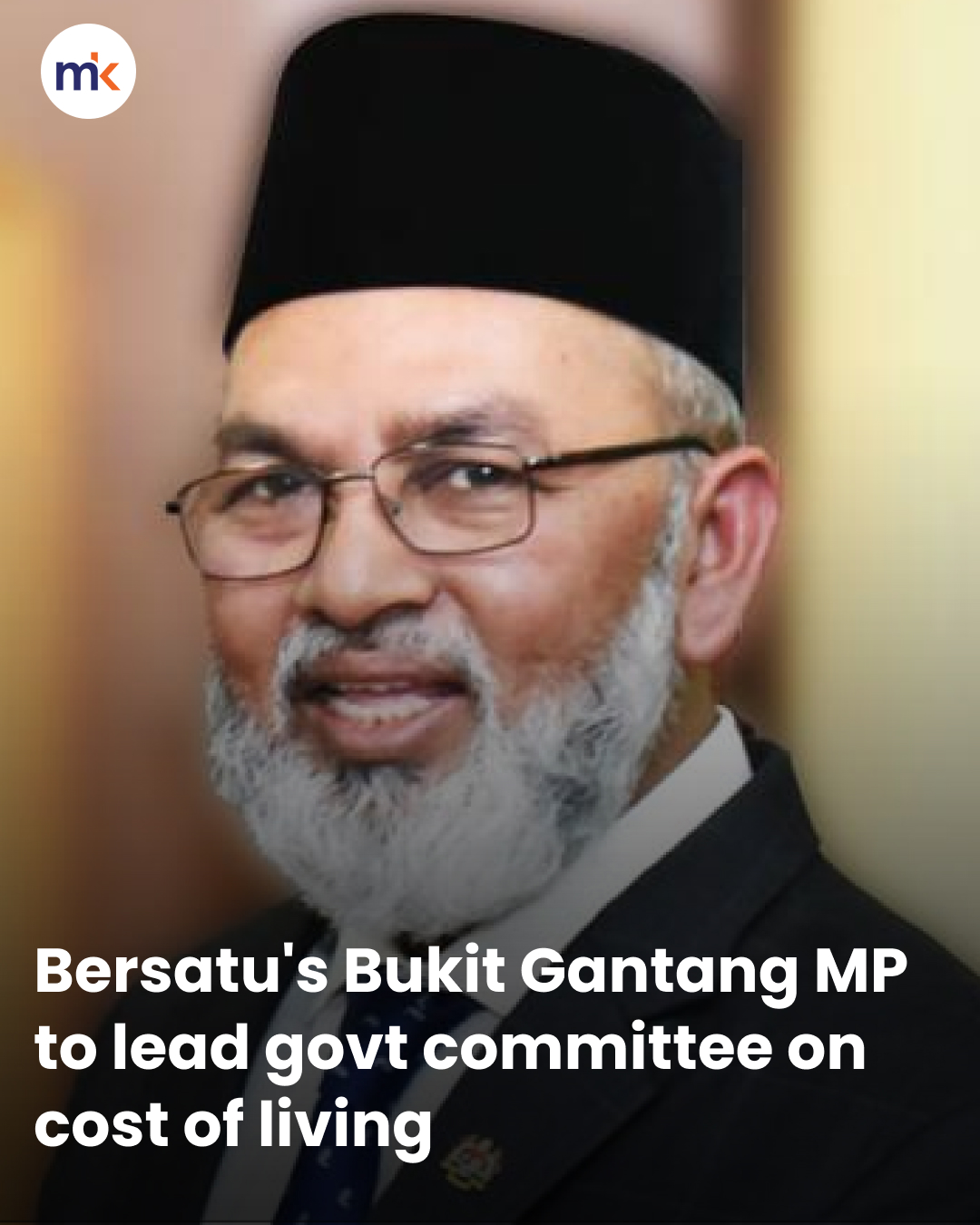 Bersatu's Bukit Gantang MP to lead govt committee on cost of living