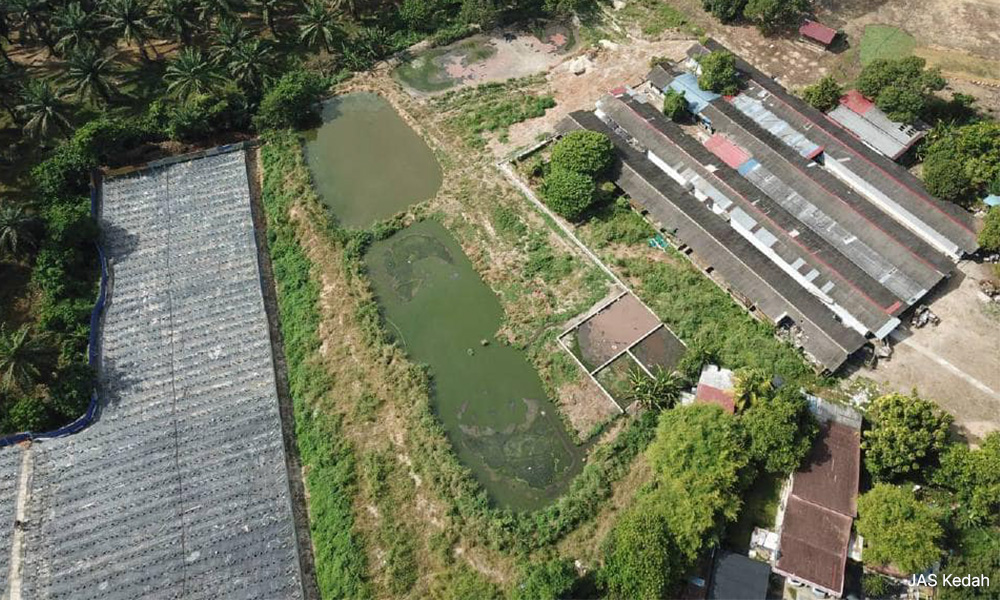 Unlicensed pig farm ordered to close over river pollution