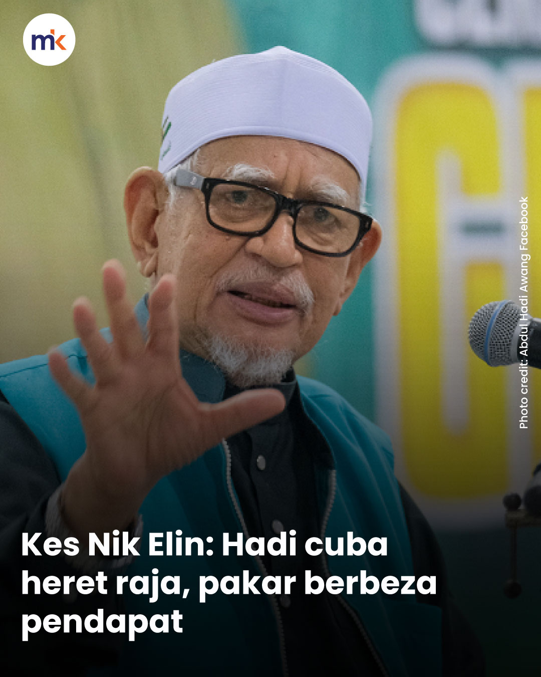 Kes Nik Elin: Hadi cuba heret raja, pakar berbeza pendapat