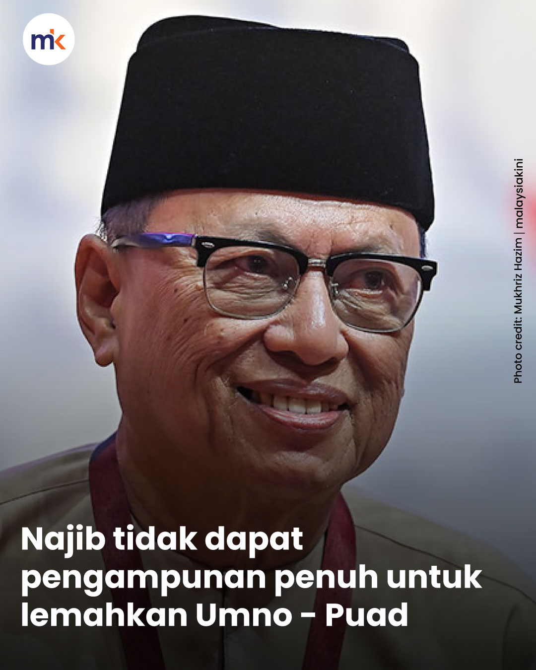 Najib tidak dapat pengampunan penuh untuk lemahkan Umno - Puad