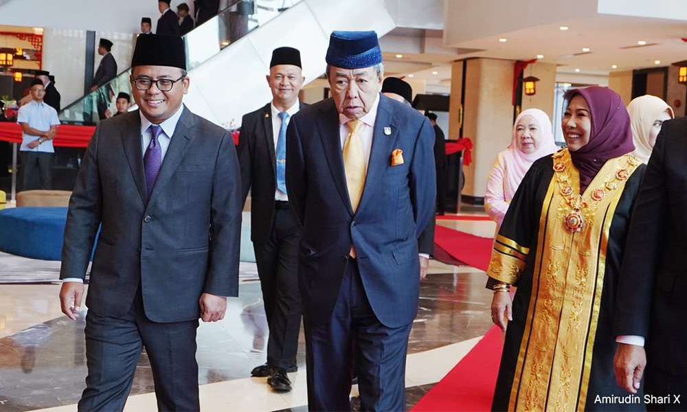 'Half of Royal Klang City Council members should be professionals'