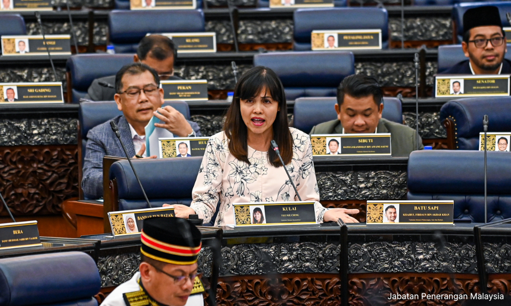 K'jaan tak arah penyedia platform media sosial turunkan kandungan - Teo