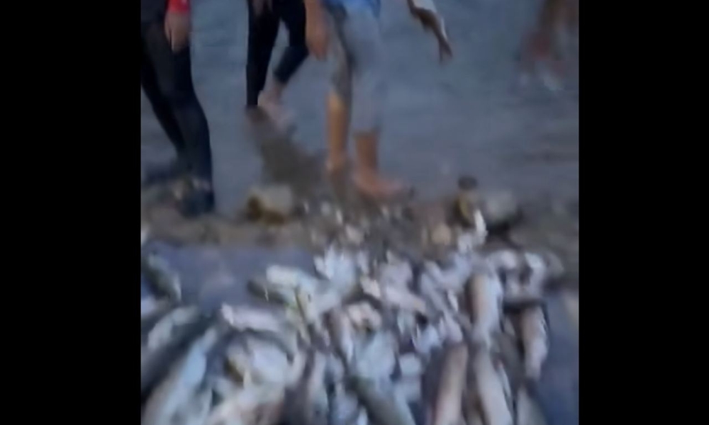 Kes bom ikan: Jabatan Perhutanan Perak beku permit masuk HSK