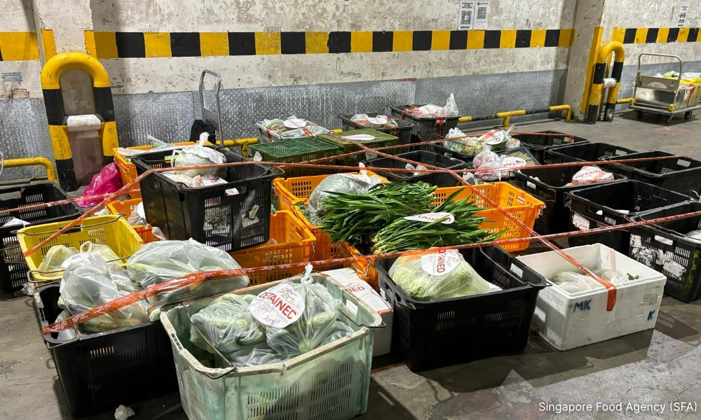 S'pore seizes 1.5 tonnes illegally imported food from M'sia