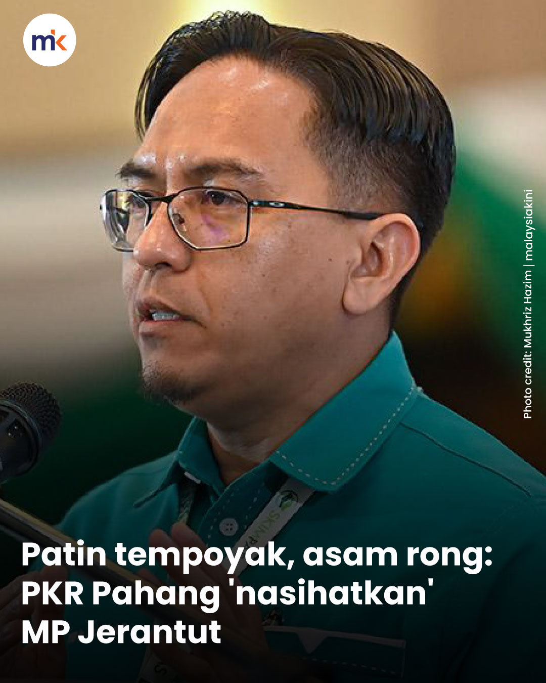 Patin tempoyak, asam rong: PKR Pahang 'nasihatkan' MP Jerantut