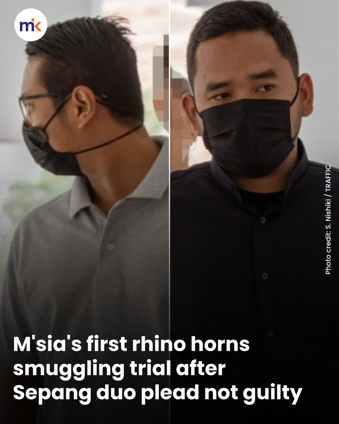 M'sia's first rhino horns smuggling trial after Sepang duo plead not guilty