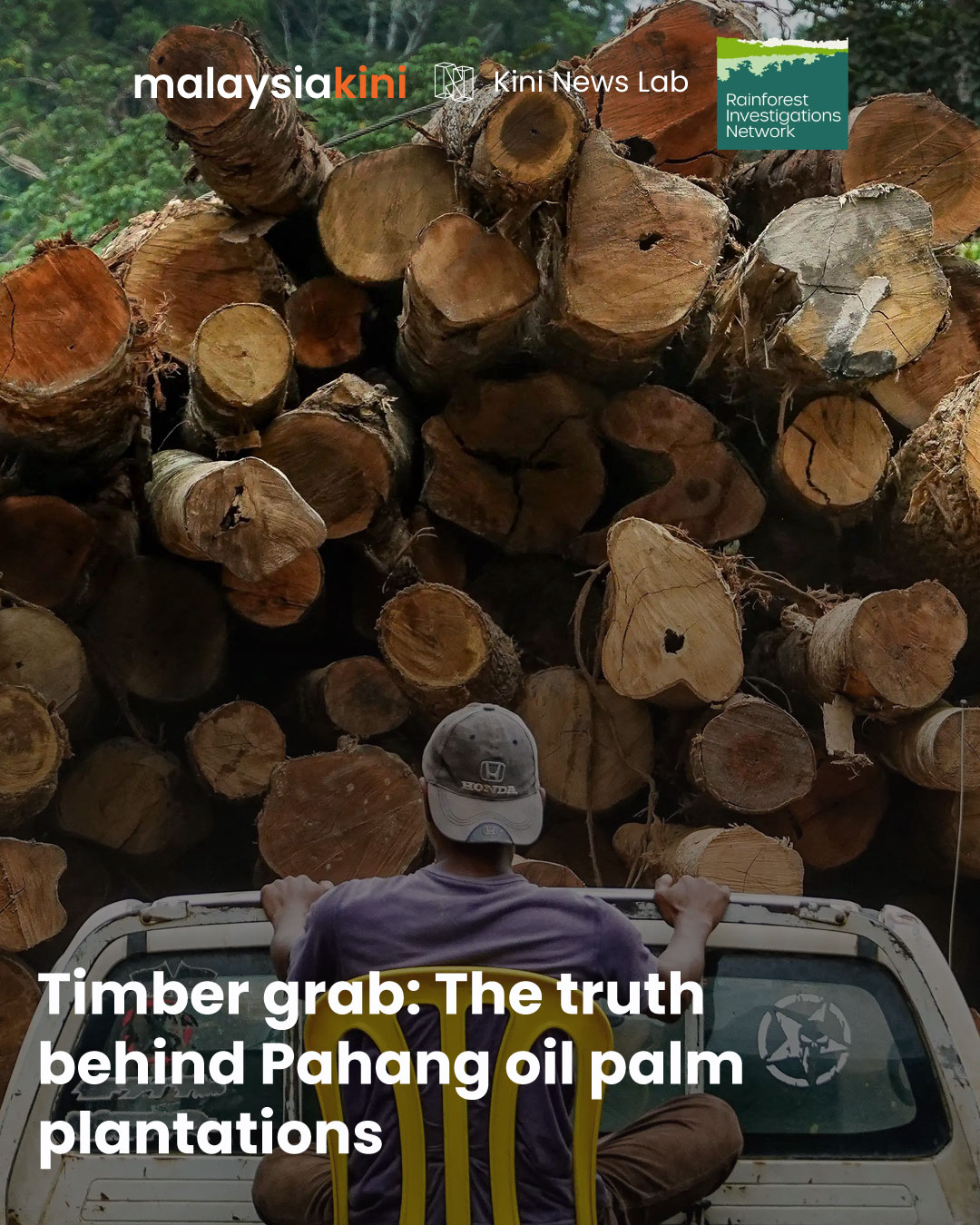 Timber grab: The truth behind Pahang oil palm plantations