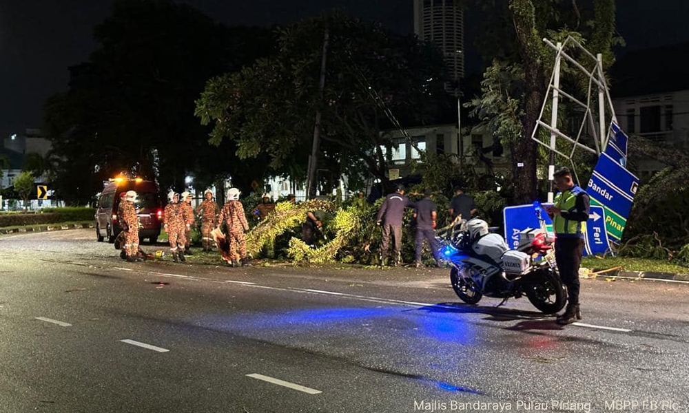 Ribut: Puluhan pokok tumbang di sekitar George Town