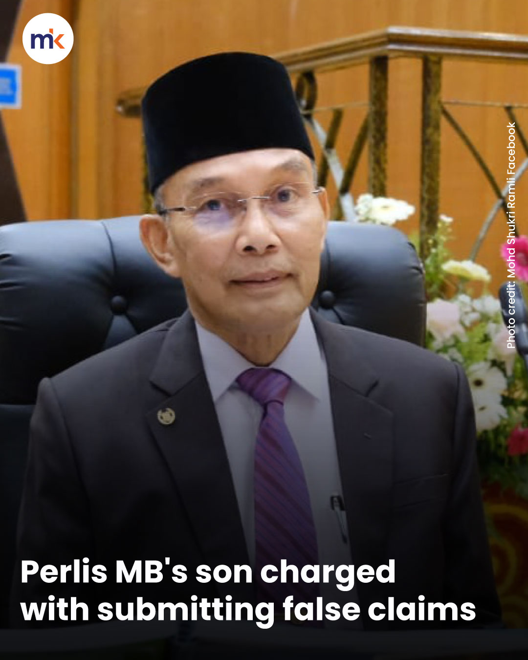 Perlis MB's son charged with submitting false claims