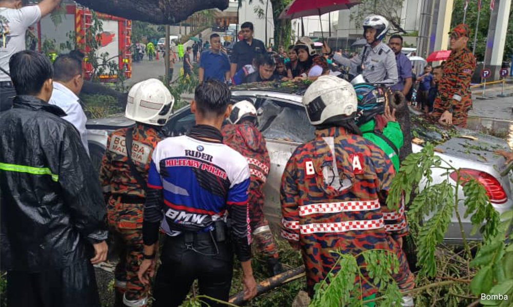 Mangsa pokok tumbang sempat diajar mengucap - Saksi