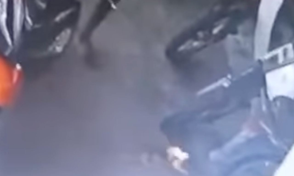 Veterinar Selangor buka kertas siasatan kes bakar kucing