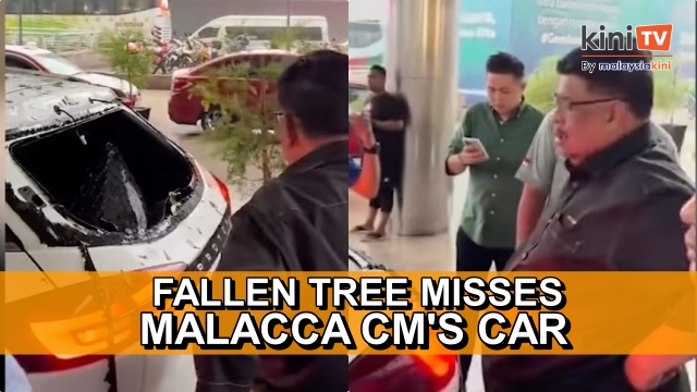 Fallen tree in KL narrowly misses Malacca CM's car