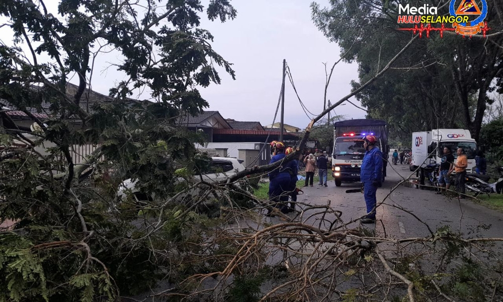 Pokok tumbang hempap tiga kereta