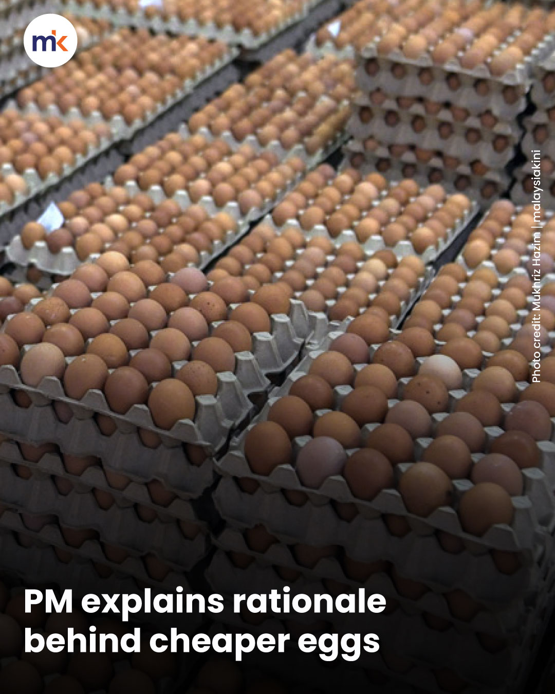 PM explains rationale behind cheaper eggs