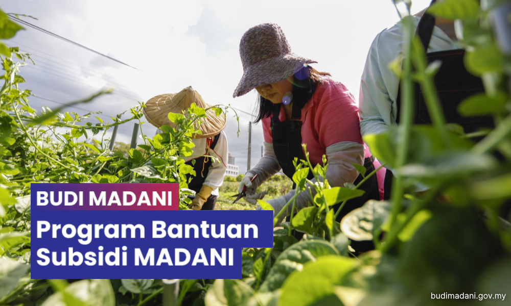Over 30k will receive first Budi Madani cash aid on June 10