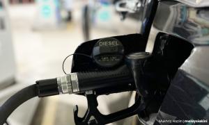 SNAPSHOT |  Govt hikes up diesel subsidies; ramps up biofuel plan