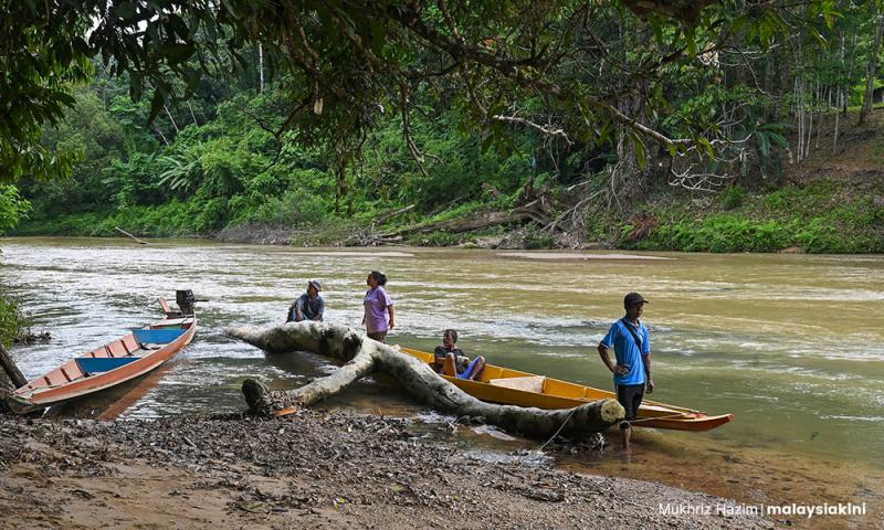EIA: Projek balak seluas 1,800 padang bola akan jejas Orang Asli, hidupan liar