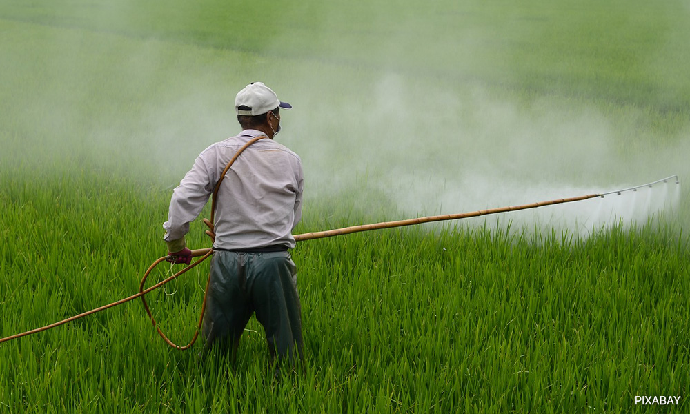 LETTER | Resolve sustainability disputes with science diplomacy