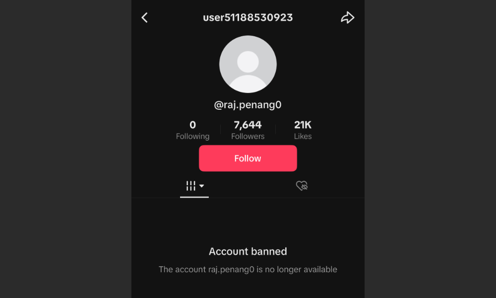 Lepas campur tangan Teo, TikTok padam akaun ambil anak angkat haram
