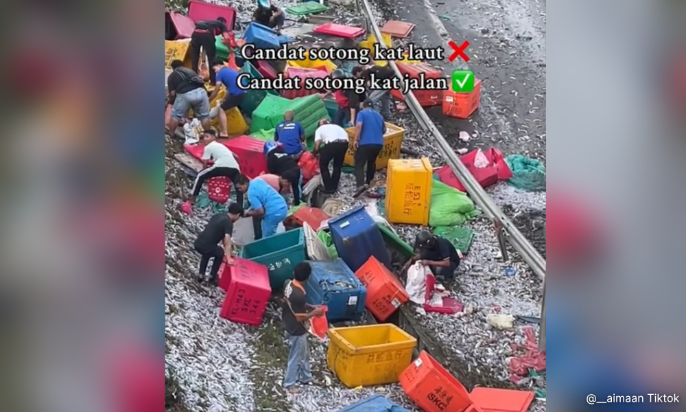 Jalan sesak akibat ‘candat’ sotong di tepi lebuh raya