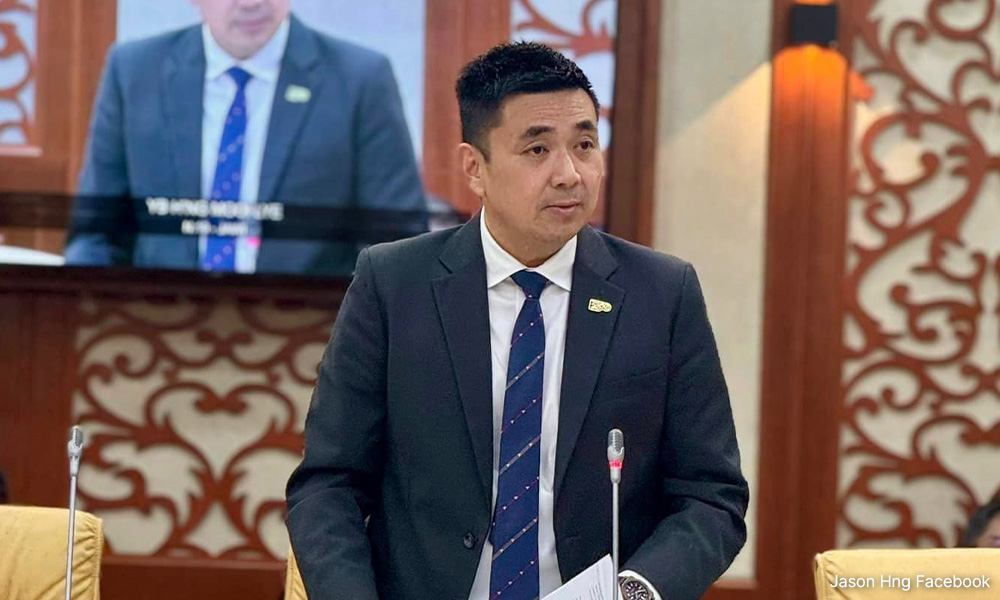 DAP: Claim that party failed to attract Chinese voters unacceptable
