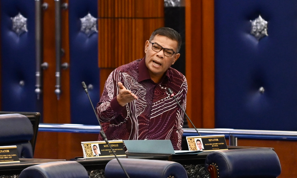 RUU Penagih Dadah (Pindaan) 2024 dibacakan kali pertama