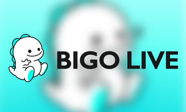 bigo net worth 2020 - Ilustrasi 2